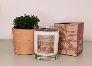 www.visiteprivee-deco.fr bougie vegan parfumée, verveine citron.
